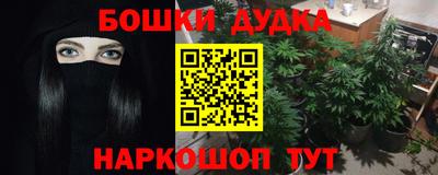 гидра Кинель