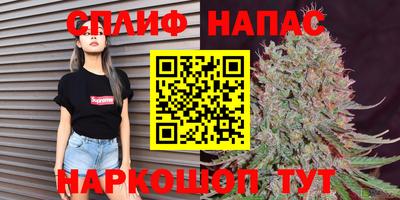 гидра Кинель