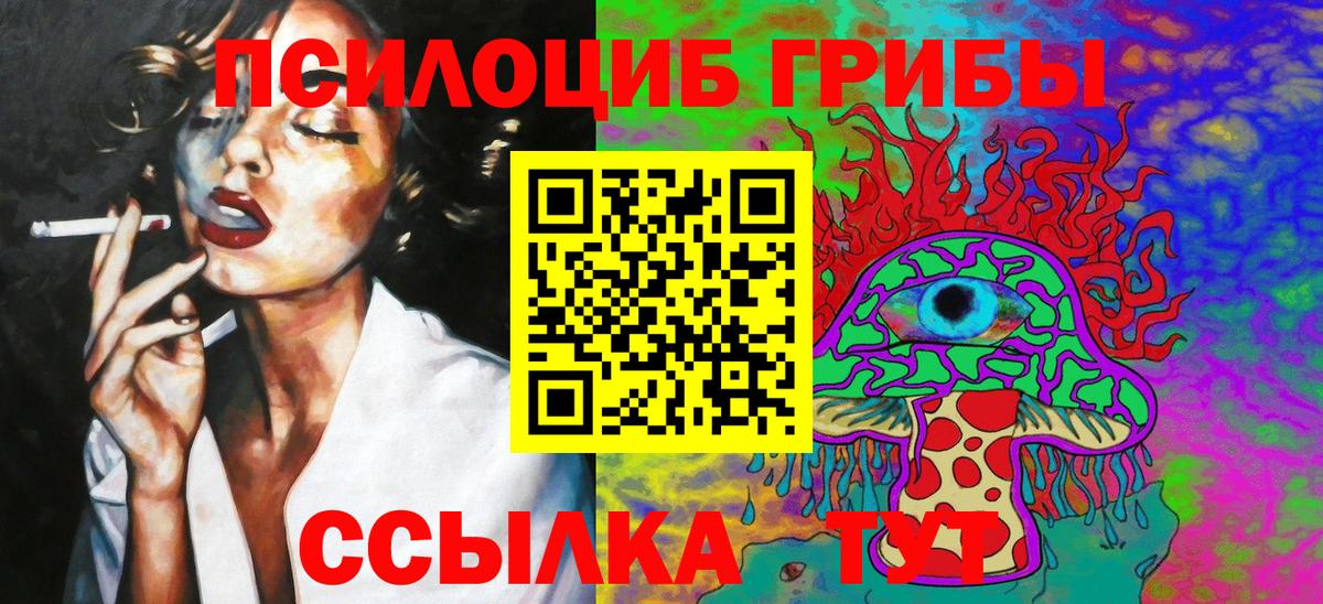 Шелехов  Галлюциногенные грибы Cubensis  даркнет сайт  Вход с VPN 