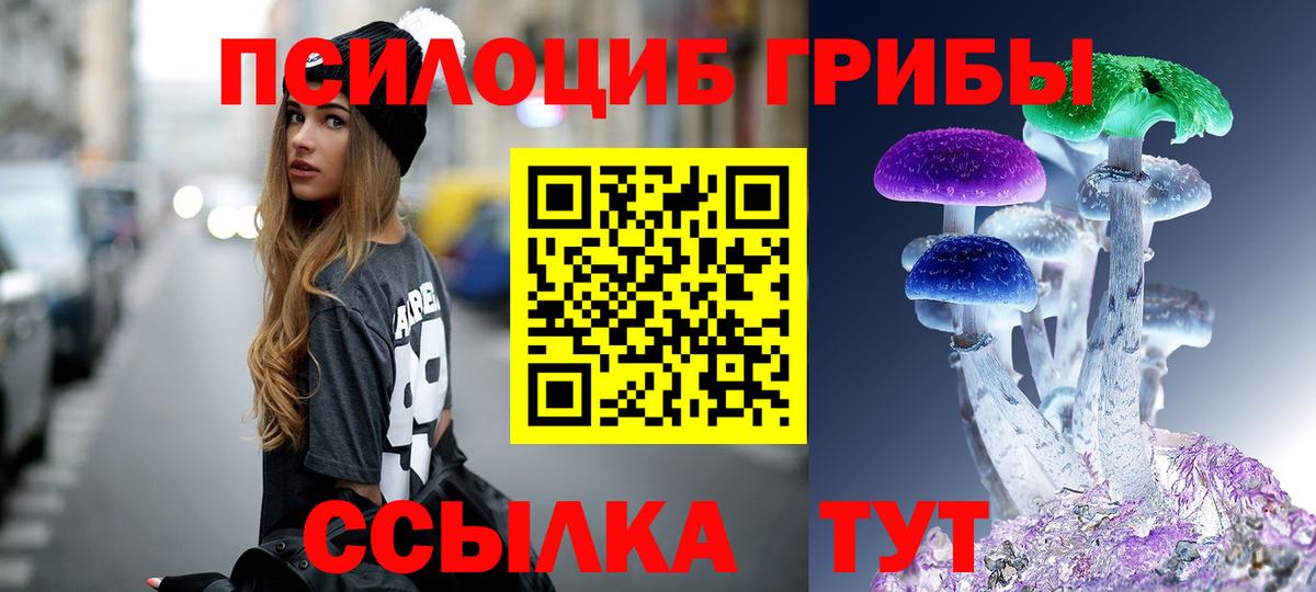 Псилоцибиновые грибы Cubensis Шелехов